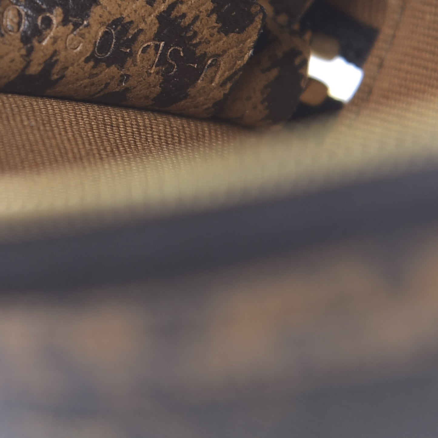 Triomphe Canvas Calfskin Leopard Print Mini Clutch on Chain Black Tan