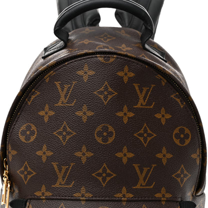 Louis Vuitton Monogram Palm Springs Backpack PM 8 of 11