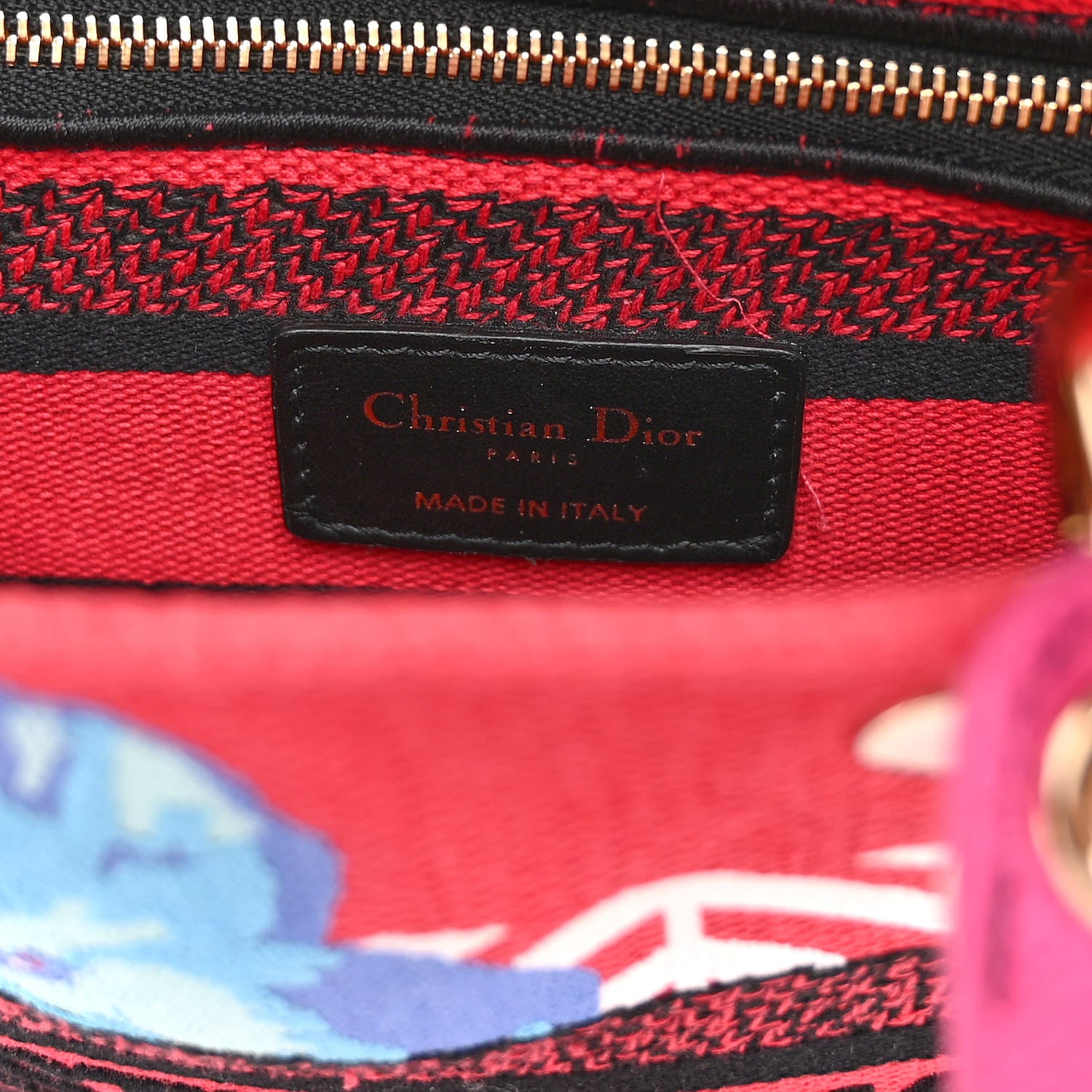 Christian Dior Canvas Embroidered Flower Pop Medium Lady D-Lite Red Pink 6 of 10