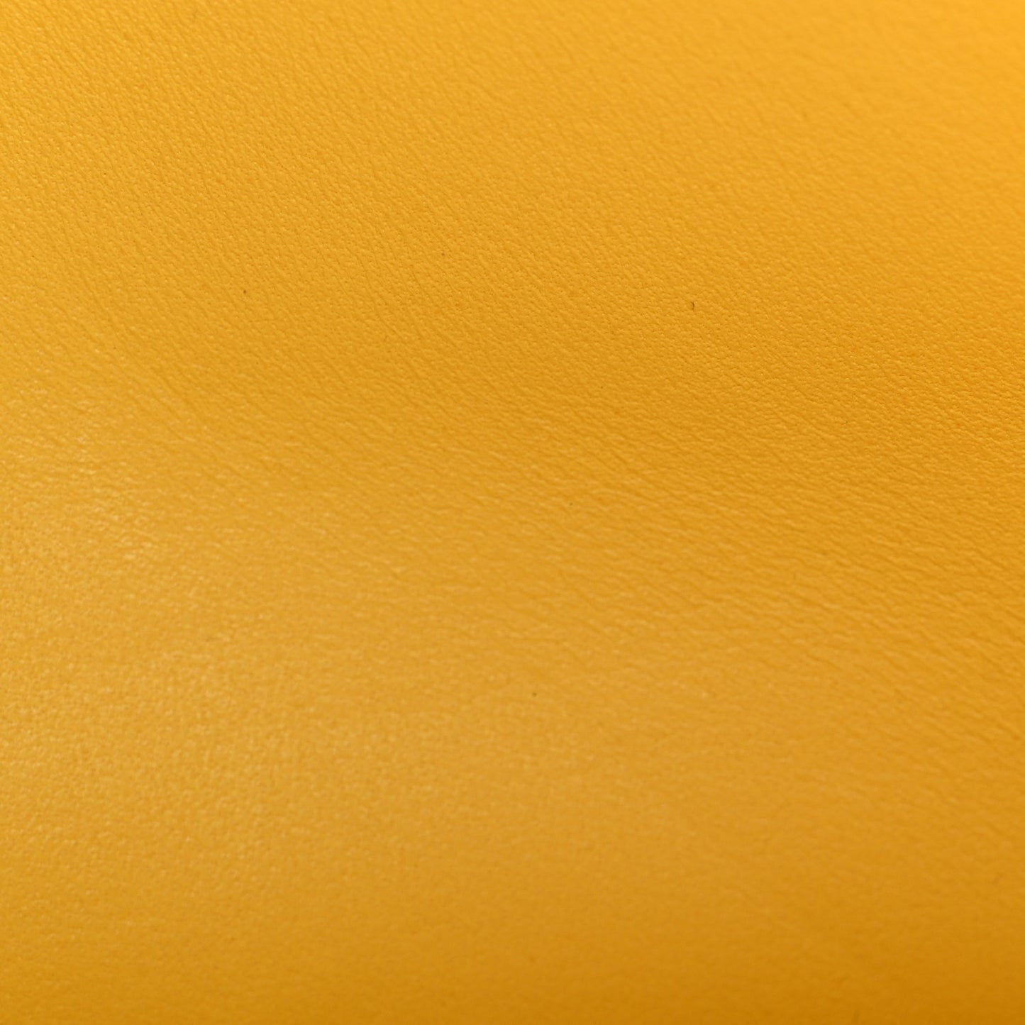 Chevre Mysore Constance 18 Jaune De Naples