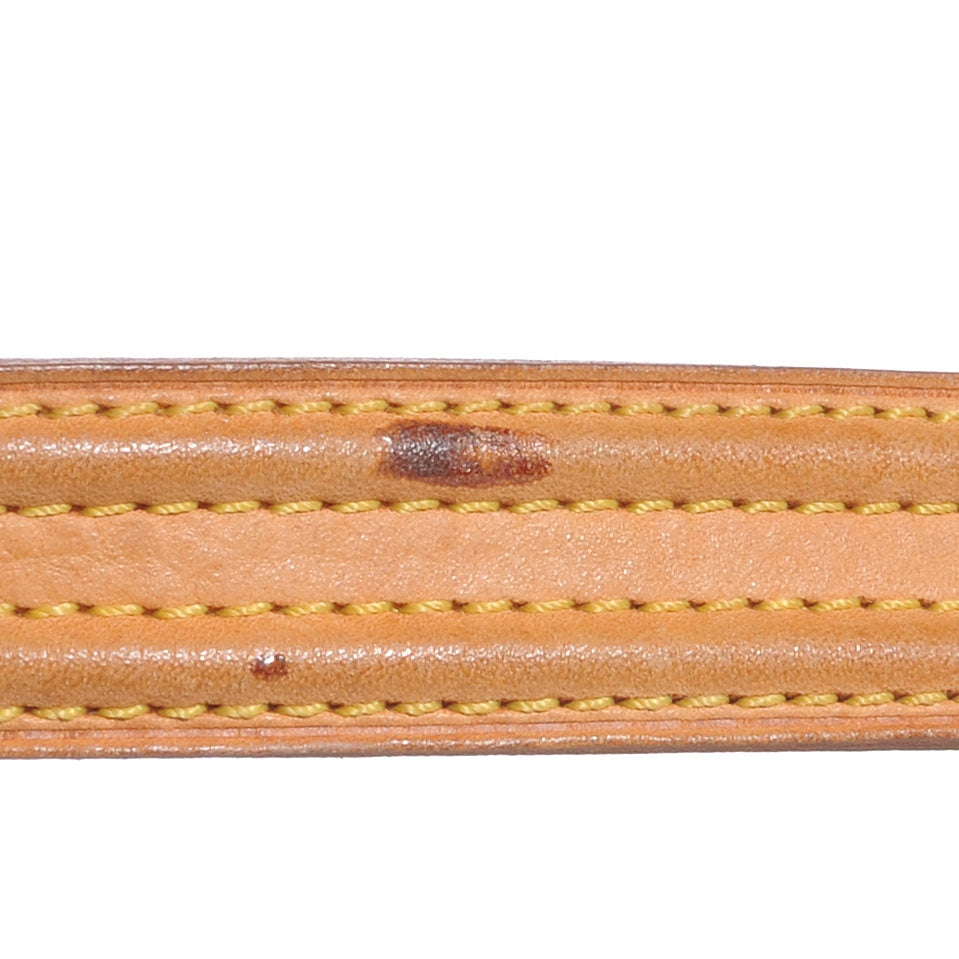 Louis Vuitton Monogram Viva-Cite MM 9 of 9
