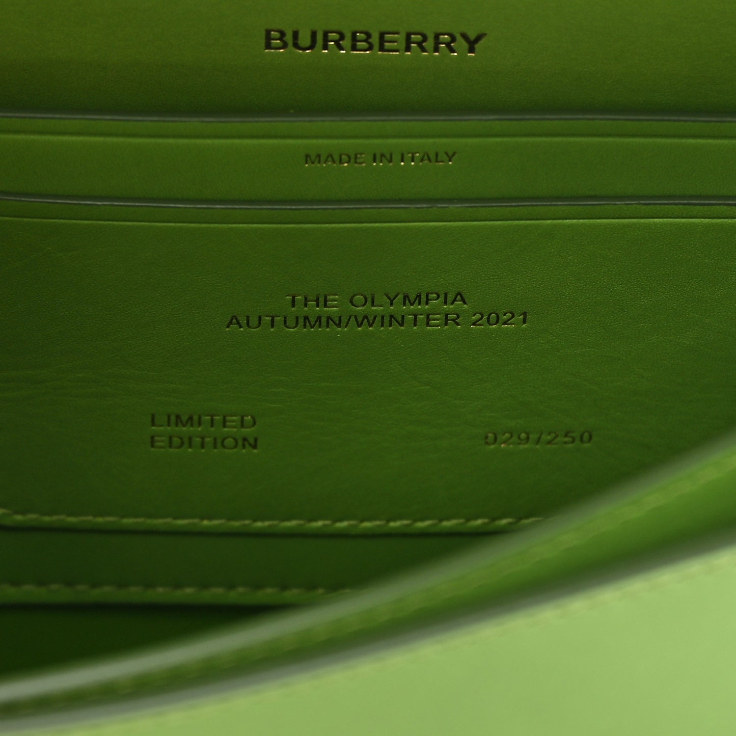 Calfskin Small Olympia Shoulder Bag Green