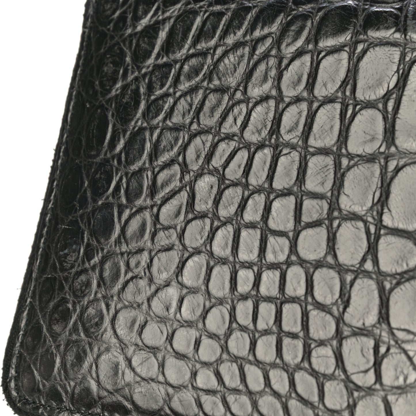 Crocodile Travel Document Case Black