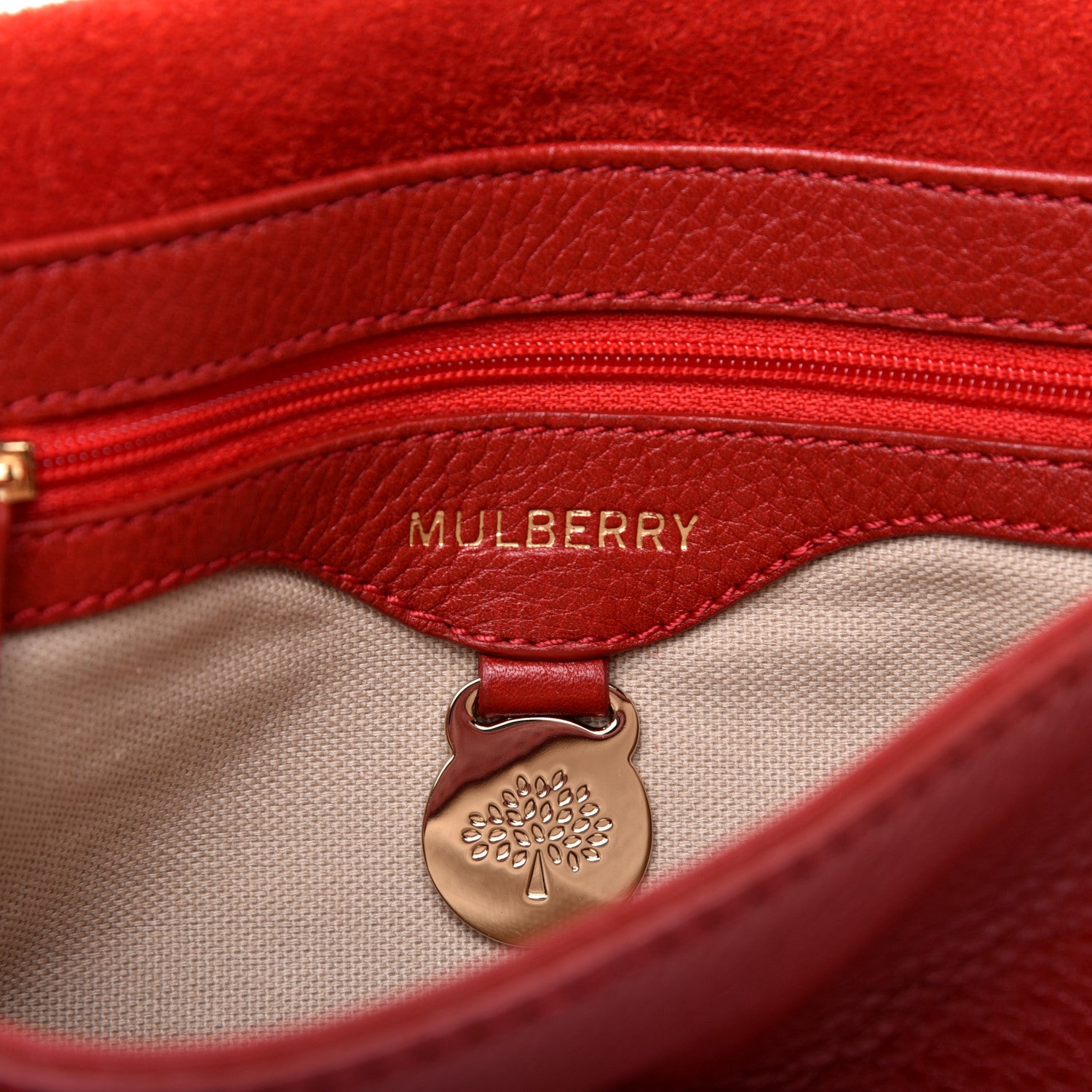 Mulberry Soft Small Grain Small Tessie Satchel Scarlet 8 of 13