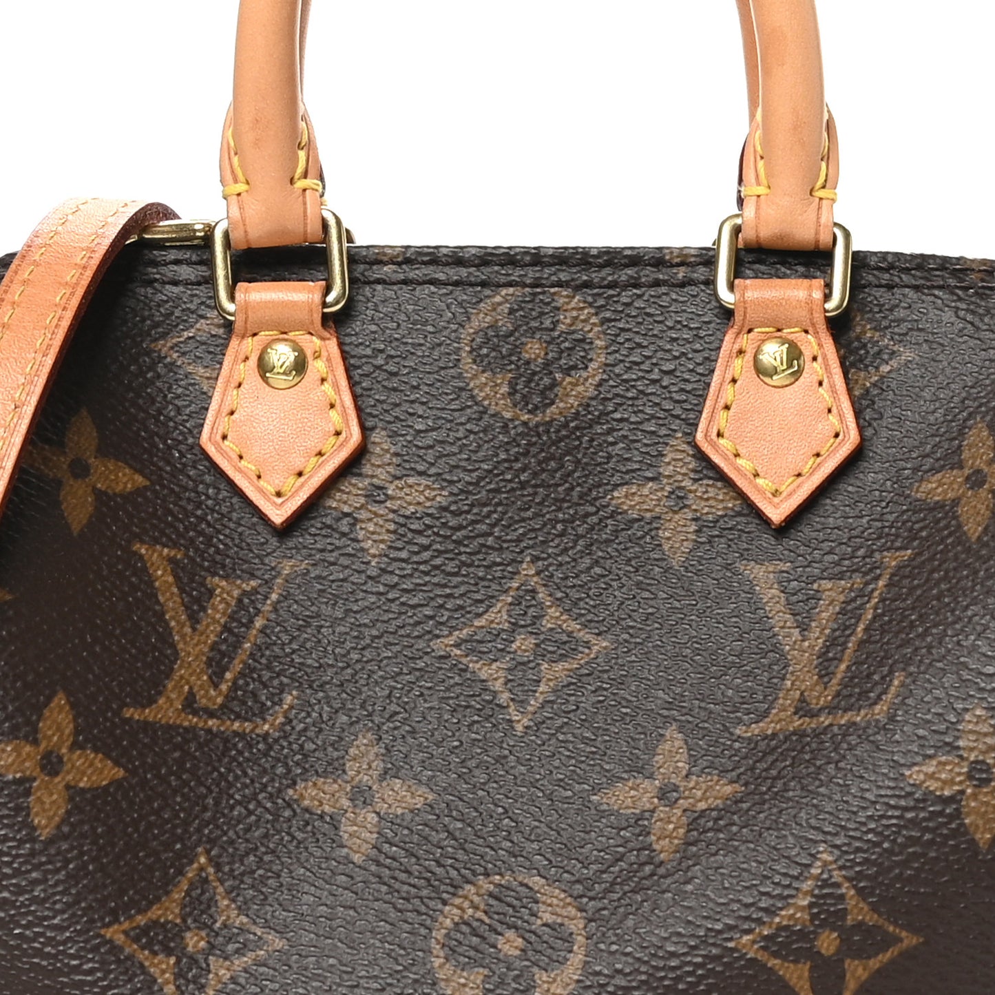 Monogram Nano Speedy