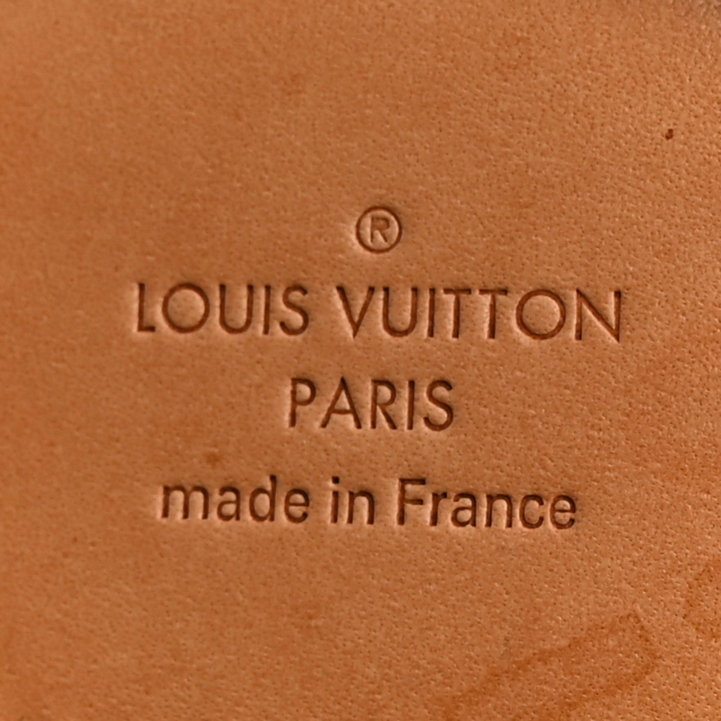 Monogram Pegase Legere Business 55