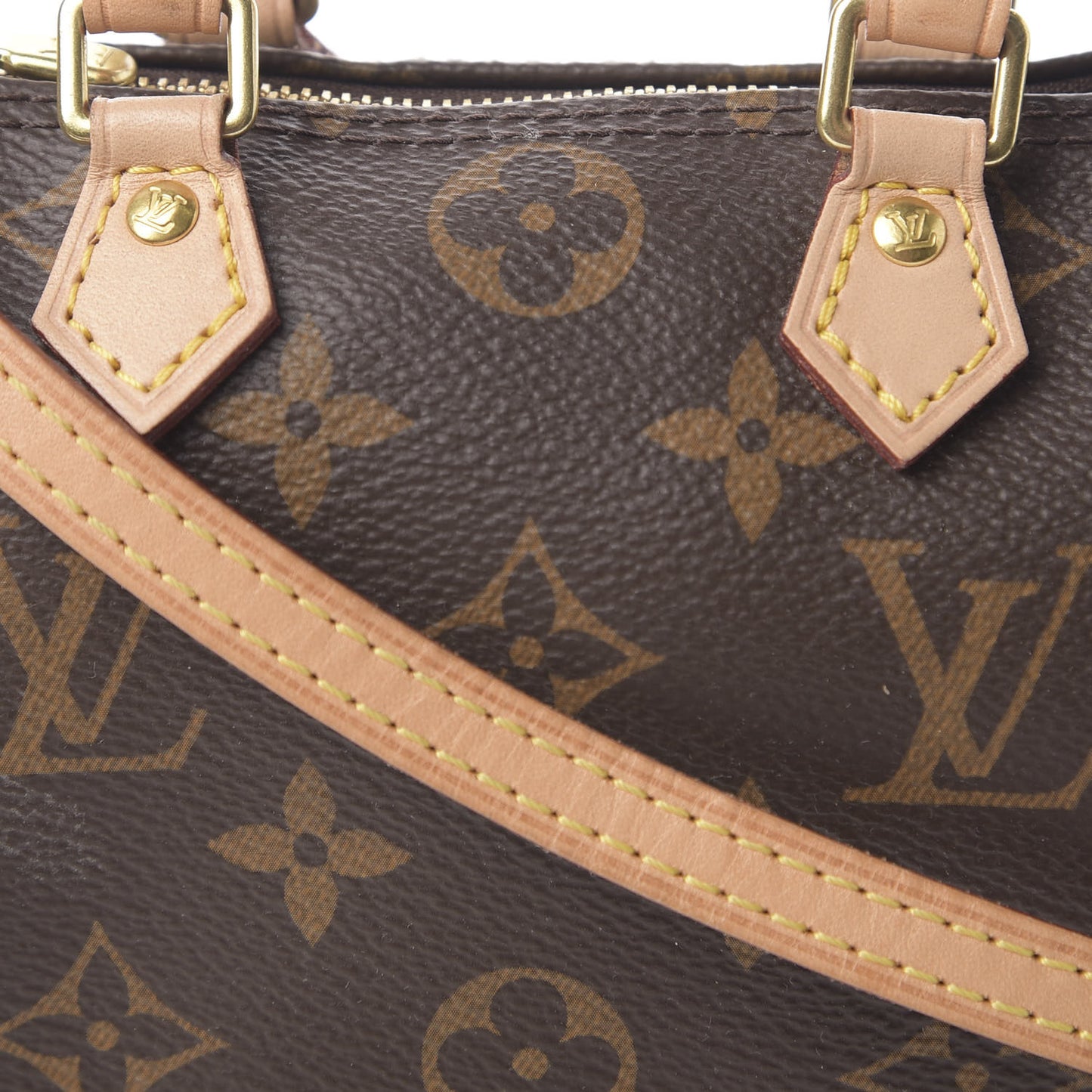 Monogram Nano Speedy
