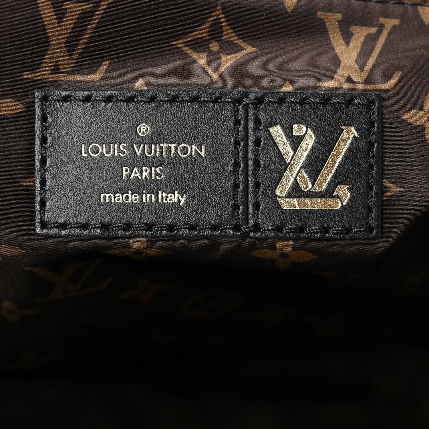 Louis Vuitton Econyl Monogram Pillow Giant Onthego MM Black 6 of 14