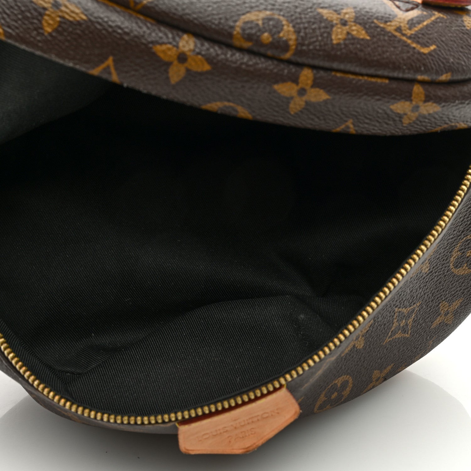 Louis Vuitton LOUIS VUITTON Monogram Bumbag 5 of 8