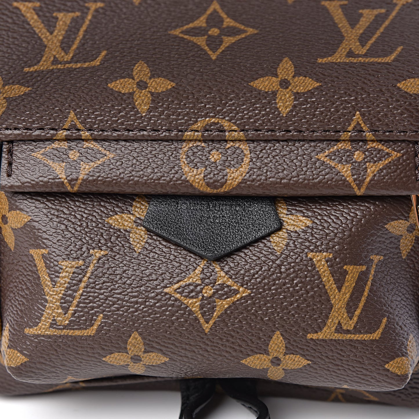 Monogram Palm Springs Backpack Mini