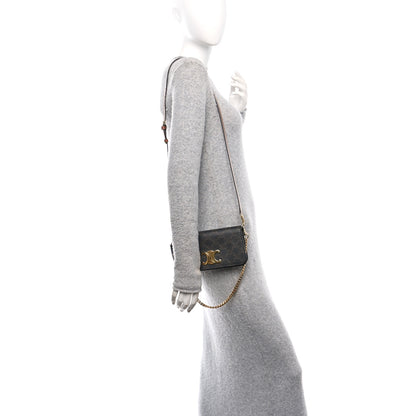 Celine Triomphe Canvas Multipochette Tan 2 of 12