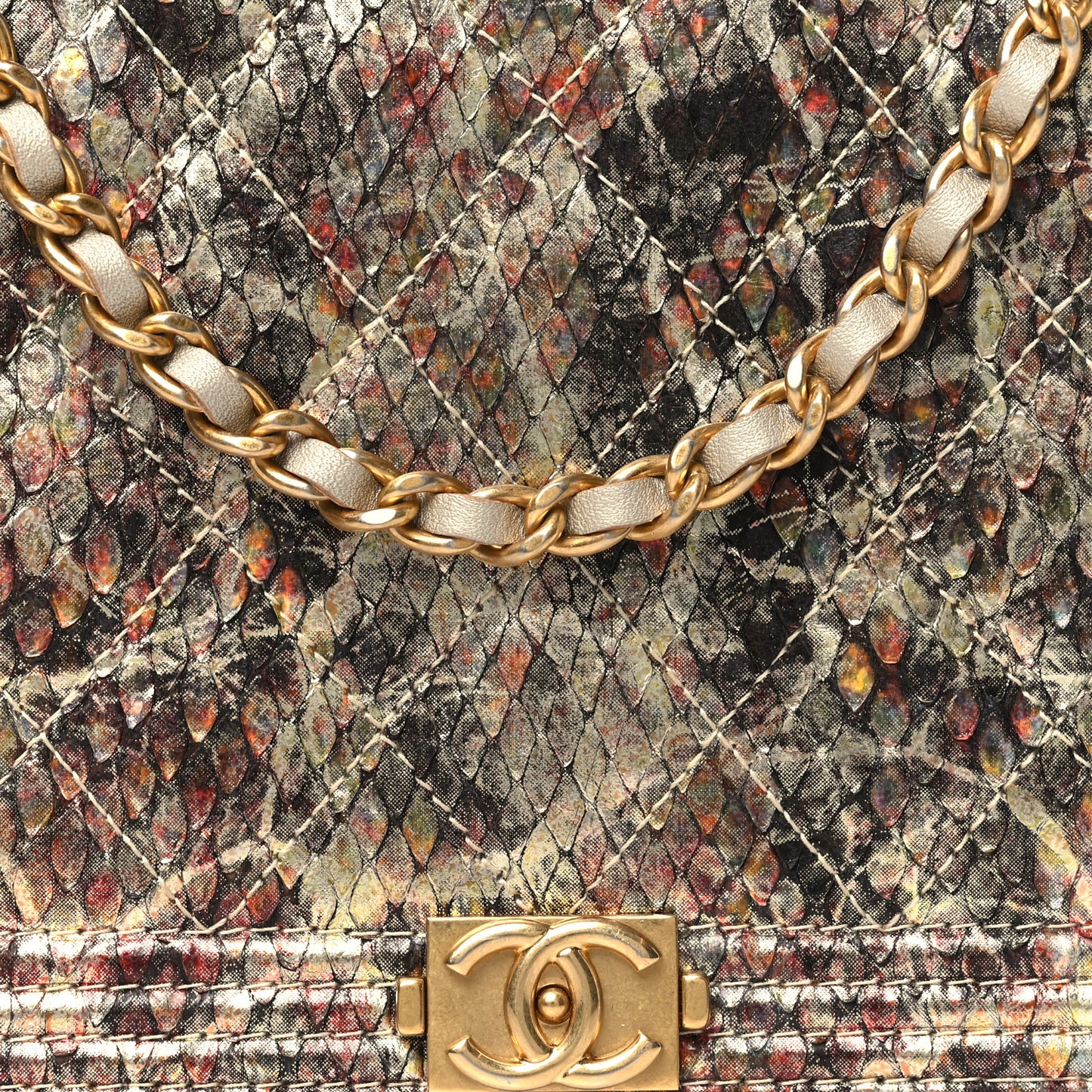Metallic Python Boy Wallet on Chain WOC Gold Multicolor