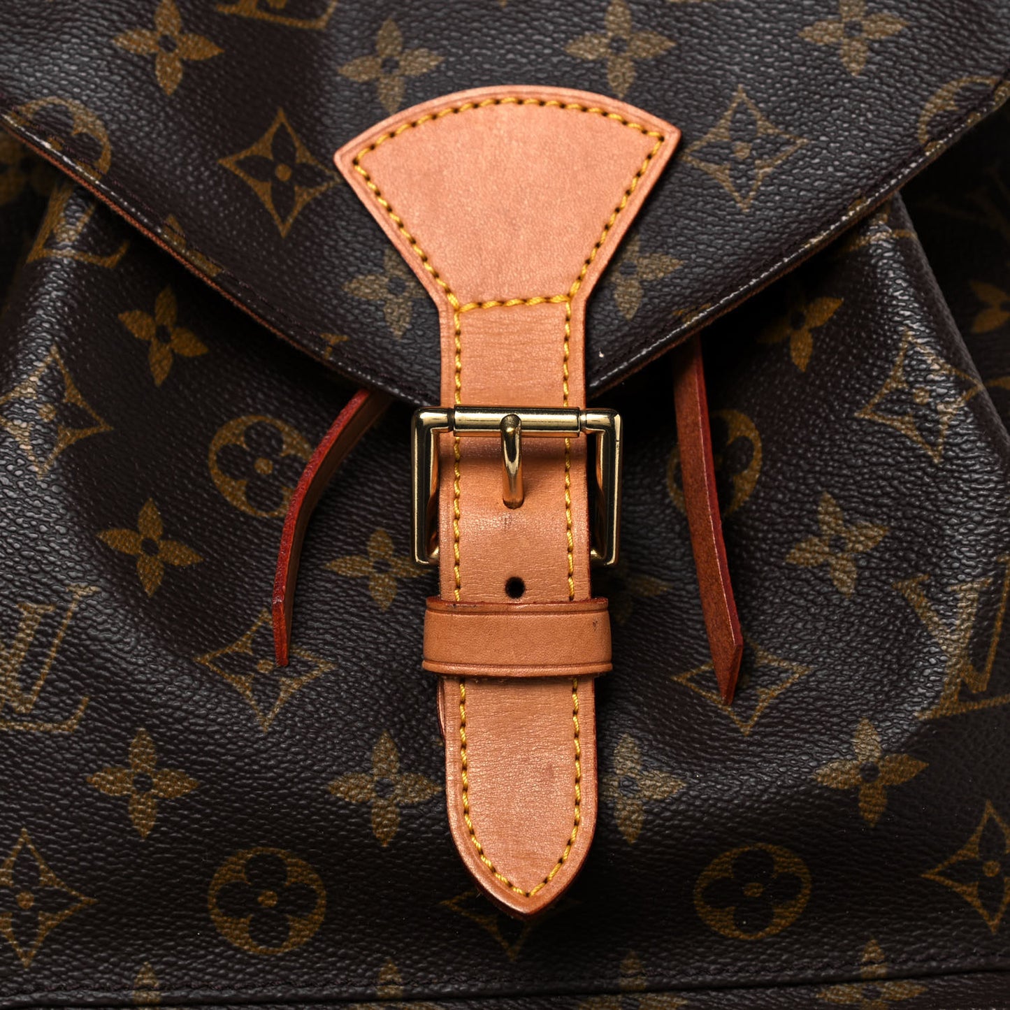 Monogram Montsouris GM Backpack