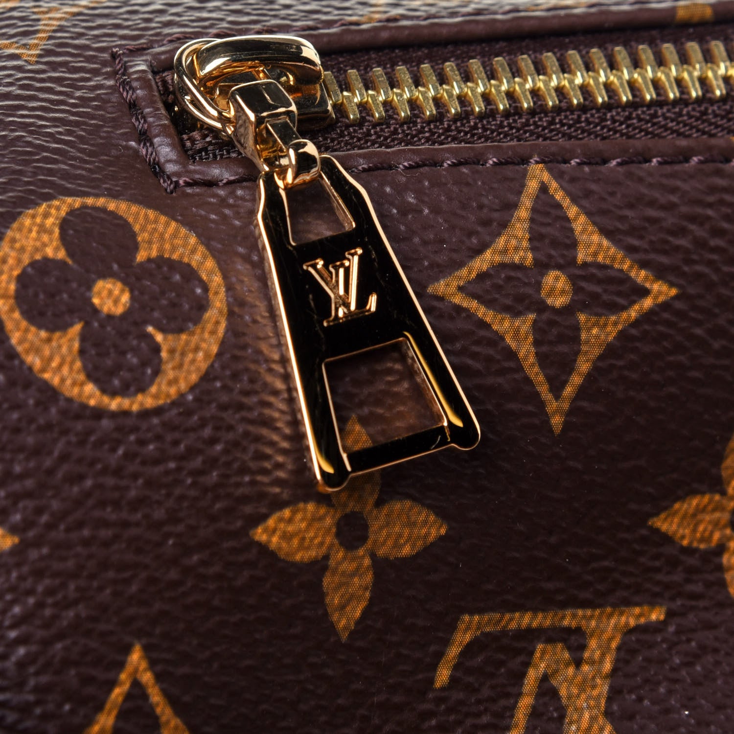 Louis Vuitton Monogram Bumbag 11 of 12