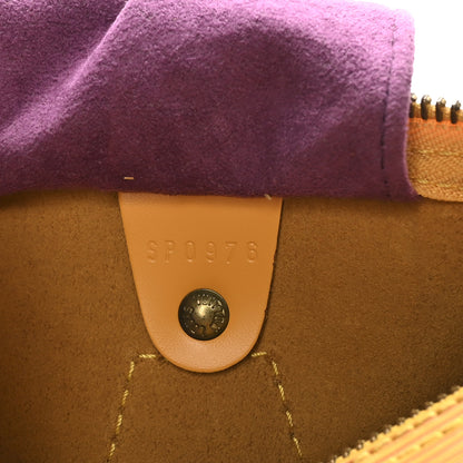 Louis Vuitton Epi Speedy 25 Tassil 6 of 11