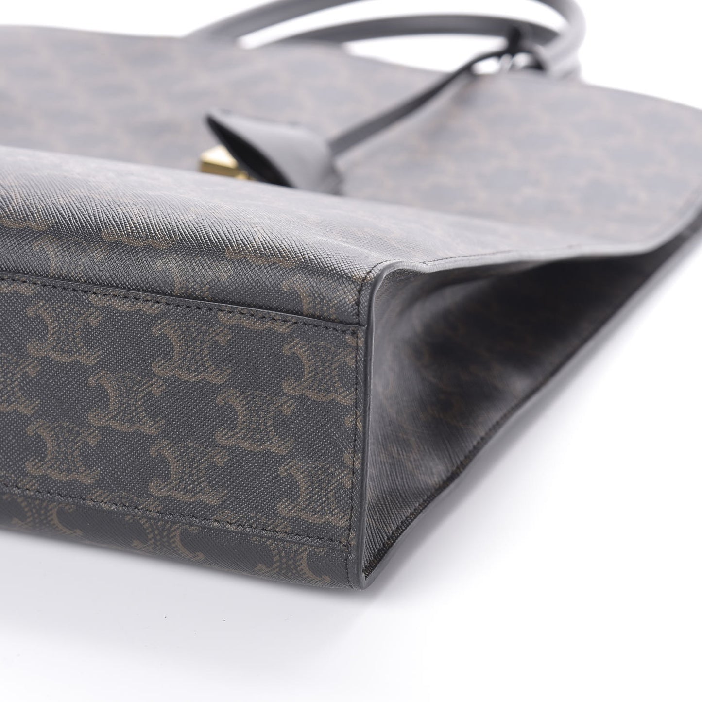 Triomphe Canvas Calfskin Large Vertical Cabas Black
