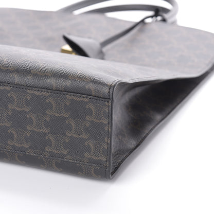 Celine Triomphe Canvas Calfskin Large Vertical Cabas Black 9 of 9