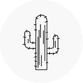 Scottsdale, AZ