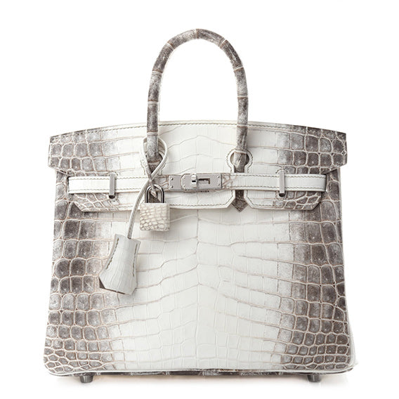 Hermes Himalaya Birkin 25
