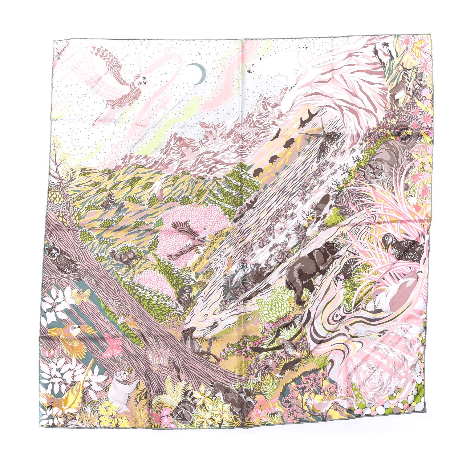 into the canadian wild hermes scarf