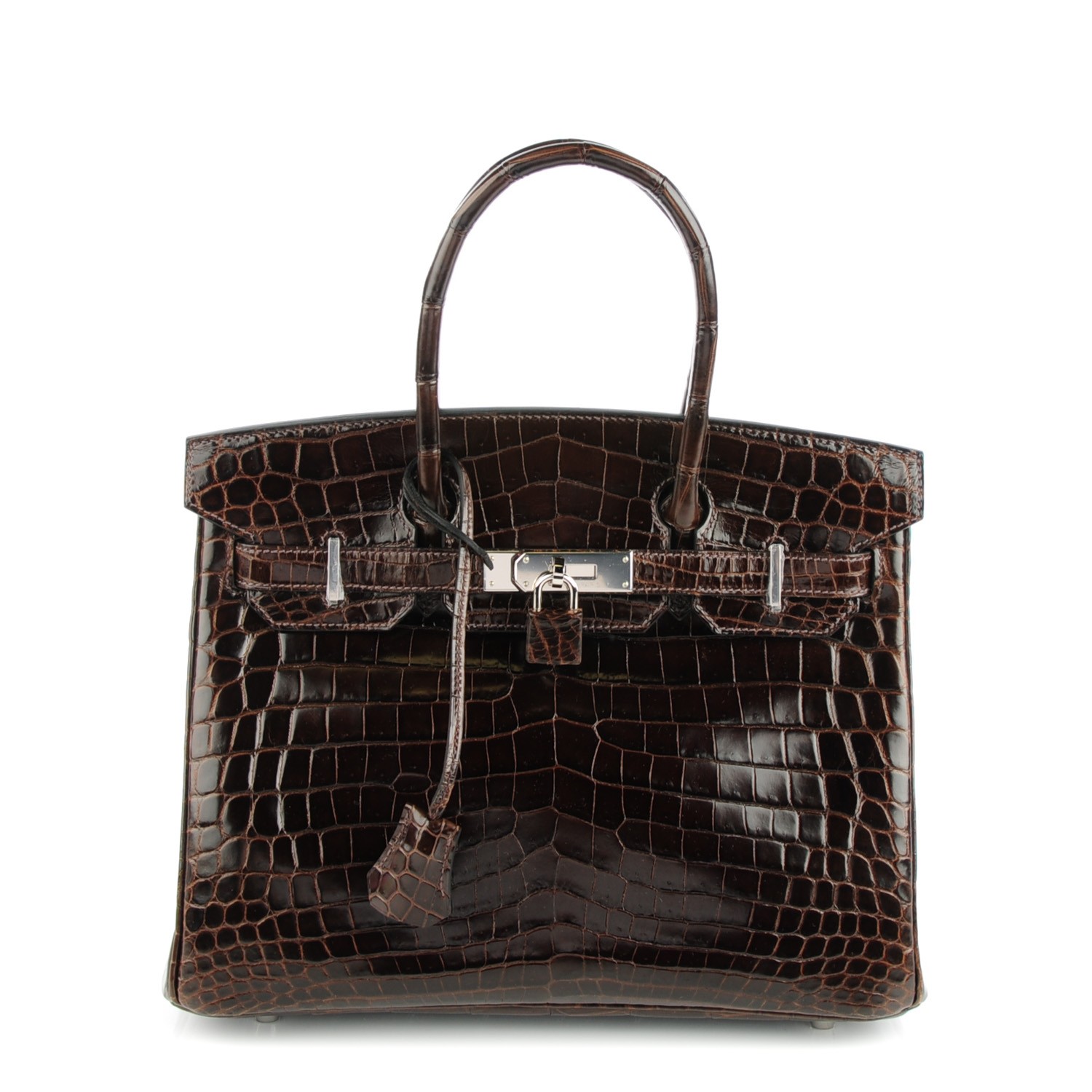 niloticus crocodile hermes