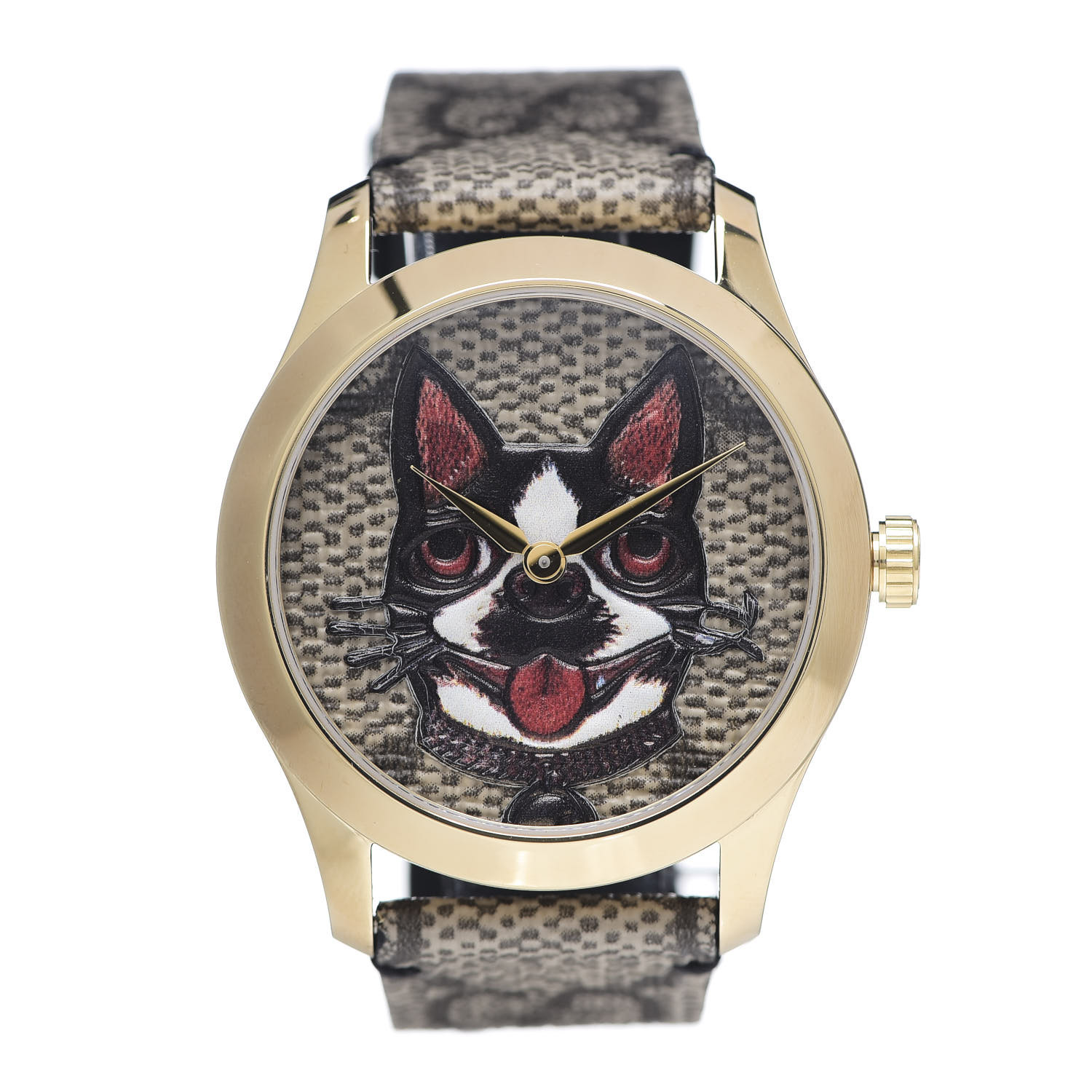 gucci dog watch