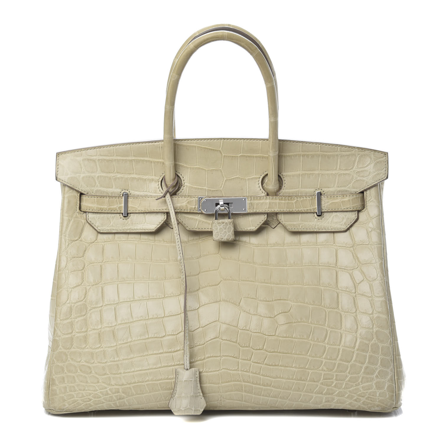 hermes niloticus crocodile