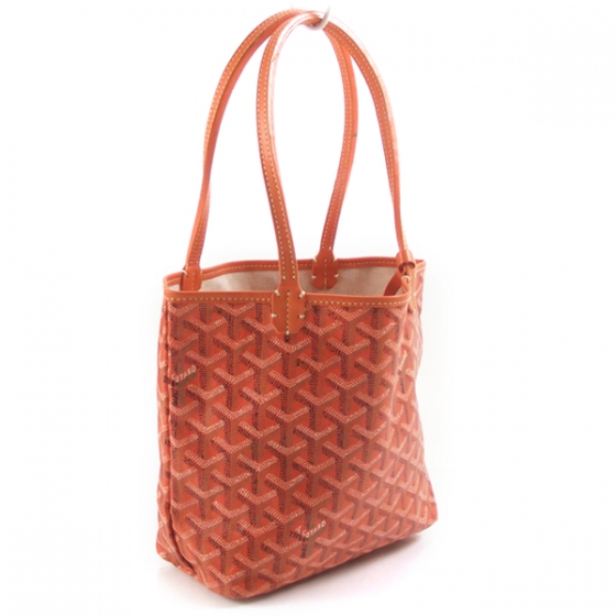 goyard saint louis junior