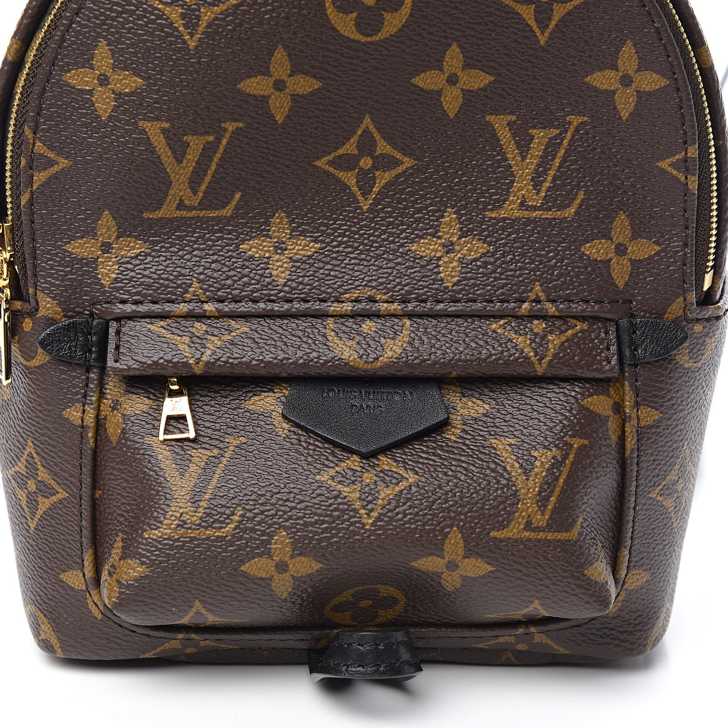 LOUIS VUITTON Monogram Palm Springs Backpack Mini 523914