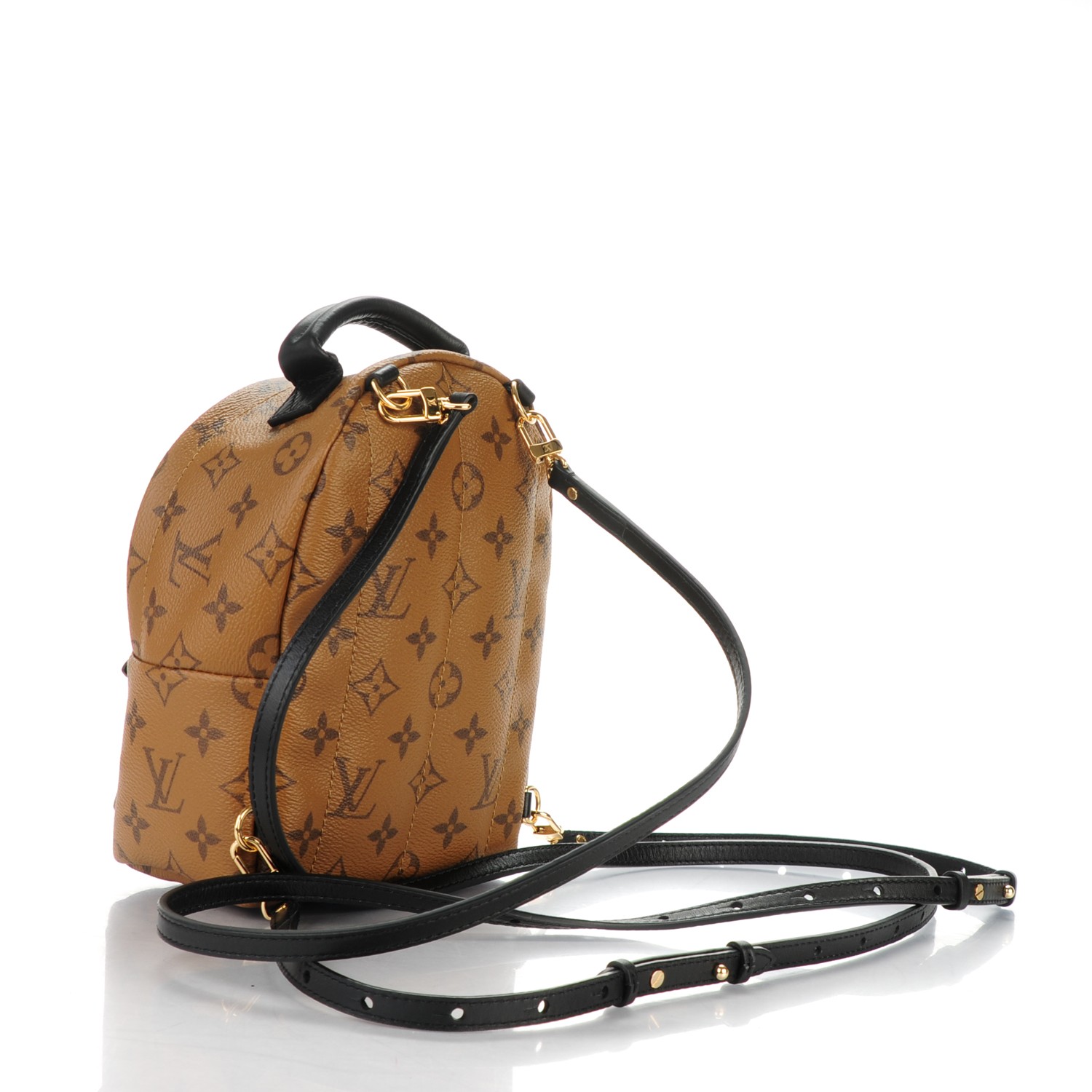 LOUIS VUITTON Monogram Reverse Palm Springs Backpack Mini 172164