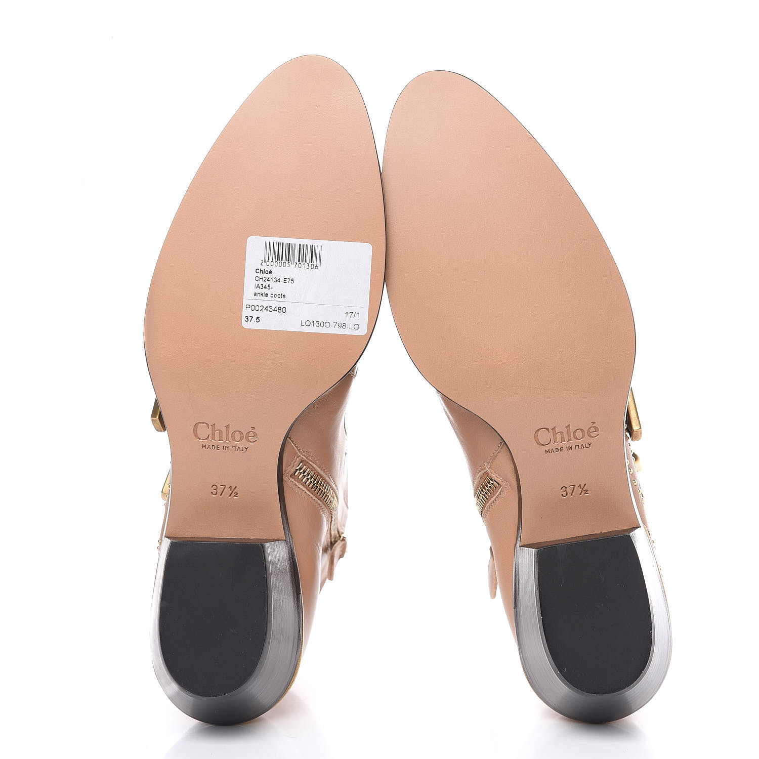 chloe susanna reef shell