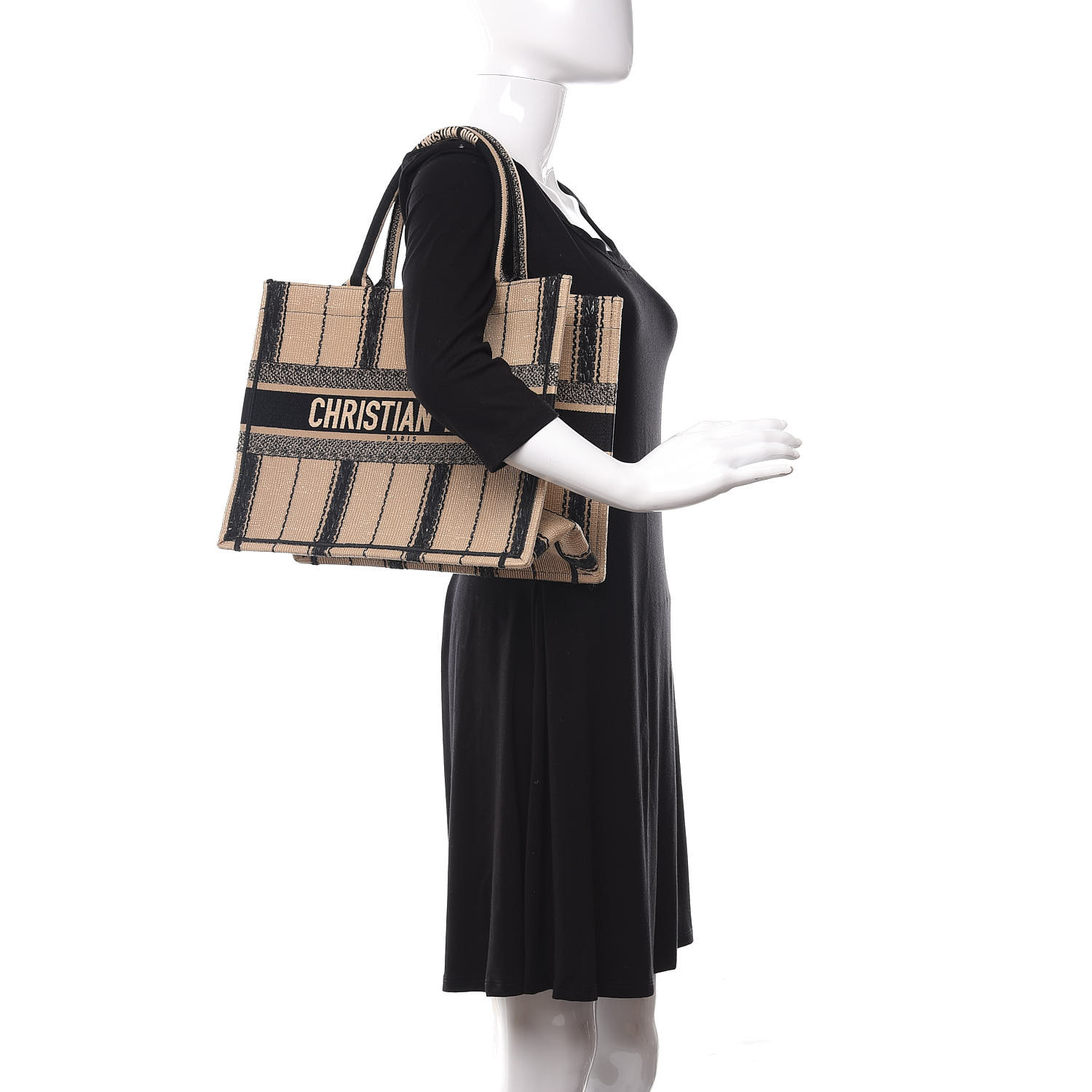 dior book tote bayadere