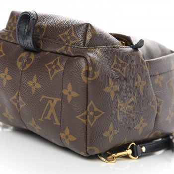 LOUIS VUITTON Monogram Palm Springs Backpack Mini 566935