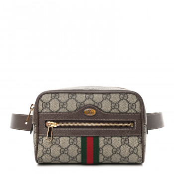 Belt Bags | owned Designer Handbags | Used Designer Bags | Fashionphile