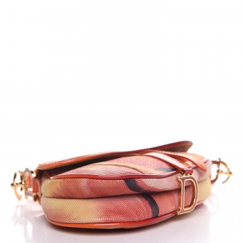 dior tie dye saddle bag